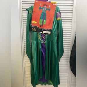 Hocus Pocus Winnie Costume